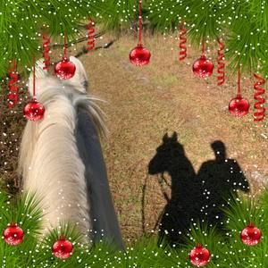 Meet your Posher, Moira